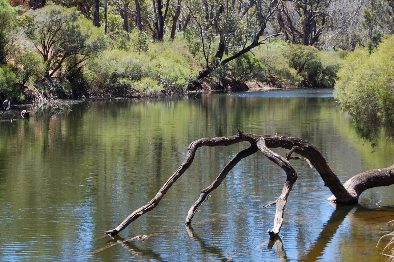 Beyonderup Falls Adult Retreat Nannup Camera foto